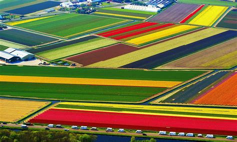 If you're simply interested in. When it's spring again... The Dutch tulip fields so ...
