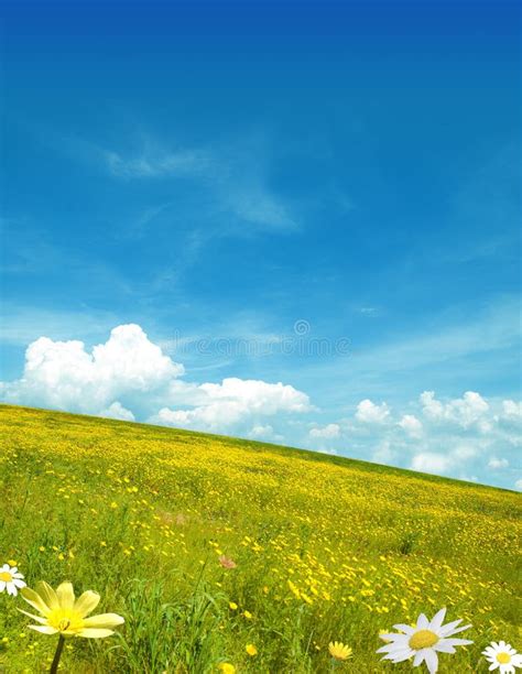 Yellow Landscape Stock Image Image Of Environment Farming 8924089