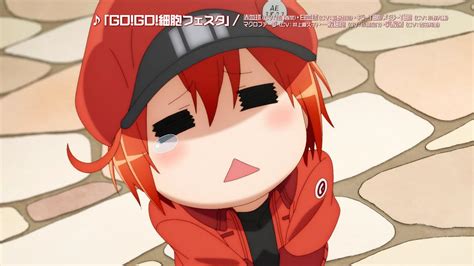 Cells At Work S2 Cm Red Blood Cell Ver