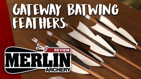 Merlin Archery Review No 9 Gateway Batwing Feathers Youtube