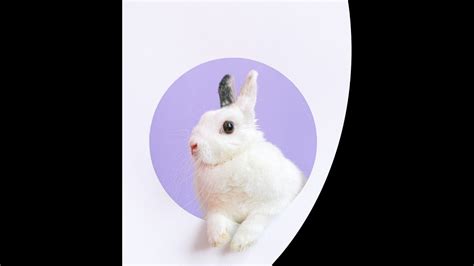 Cutaneous Rabbit Illusion Η πλάνη του κουνελιού στο δέρμα YouTube