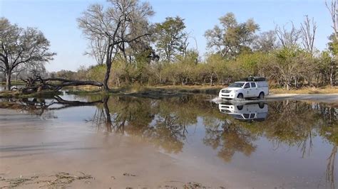 Watercrossing North Of Khwai Village August 4 Youtube