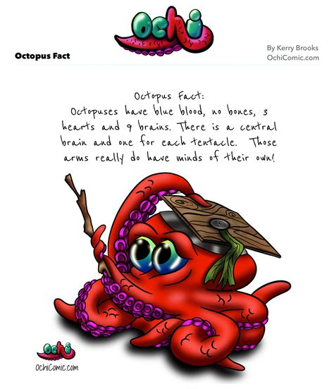 World Octopus Day Ochi