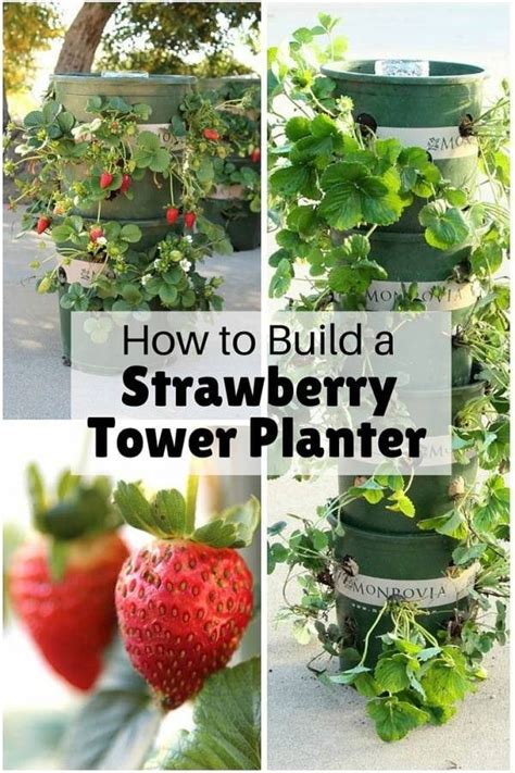 How To Build A Strawberry Tower Planter The Budget Diet