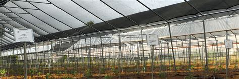 Greenhouse Shade Cloth And Shade Systems Growspan