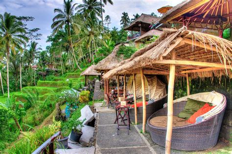 Monkey Forest And Rice Terrace In Ubud Bali In 2021 Bali Ubud Bali