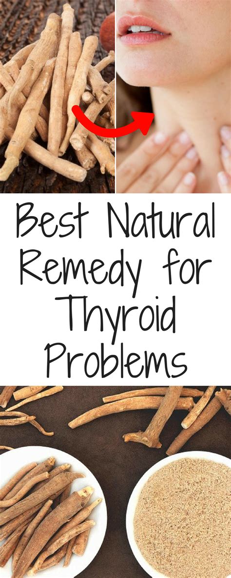 Herbal Remedies For Thyroid Disorders