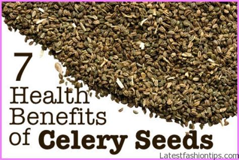 Celery Seed Benefits And Information