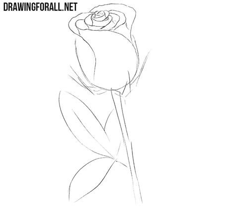 We hope that our lesson about how to draw a rose easy was really simple, and now you can draw a rose no worse. How to Draw a Rose Easy