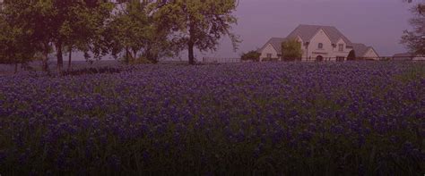 Pest control in bryan, tx & college station, tx | termite inspection & control. D. Lee Pest Services | Pest Control In Bryan & College ...