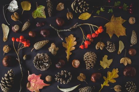 Maybe you would like to learn more about one of these? Herbst Garten 2020 - Gartenbau und Landschaftsbau aus ...