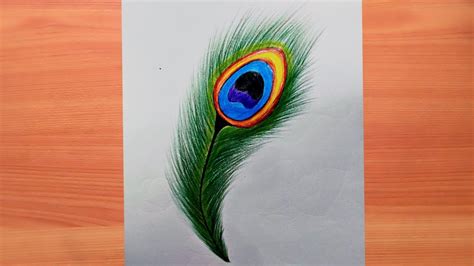 How To Draw Peacock With Beautiful Feather Design Colour Sketch Pen