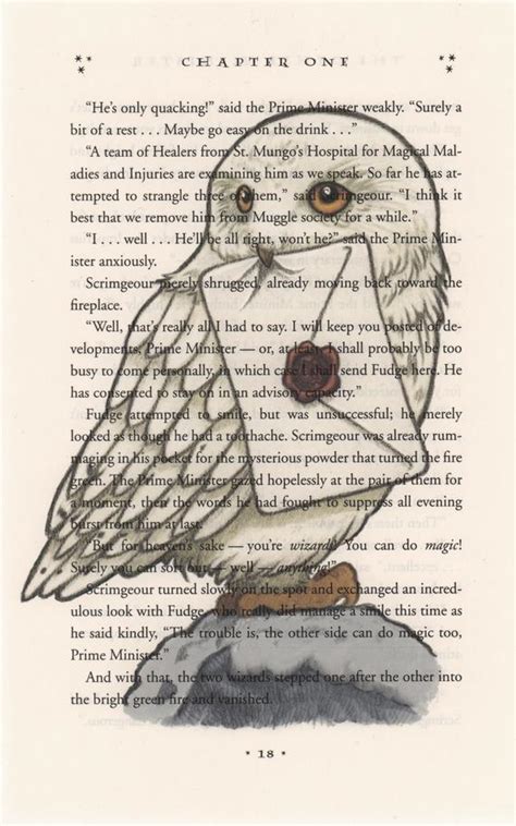 1) why did dumbledore think harry potter should live with his uncle and aunt in privet drive? Hedwig Art Print Harry Potter Art Harry Potter Book Print ...