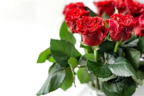Premium Photo Bouquet Of Fresh Cut Red Roses