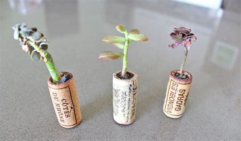 How To Make Recycled Cork Planter Diy Wine Cork Projects Recycled Projects Easy Diy Projects
