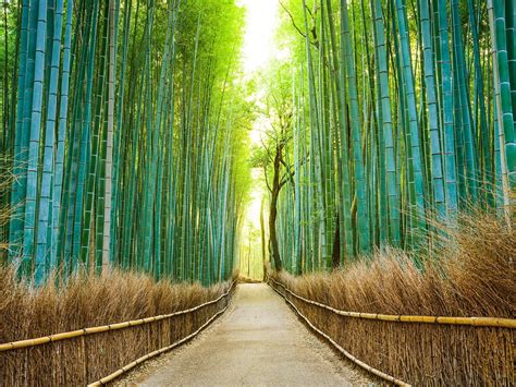 Arashiyama Wallpapers Top Free Arashiyama Backgrounds Wallpaperaccess
