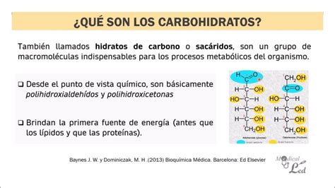 Paso A Paso Sobre Estructura Quimica De Los Carbohidratos La Fisica Y