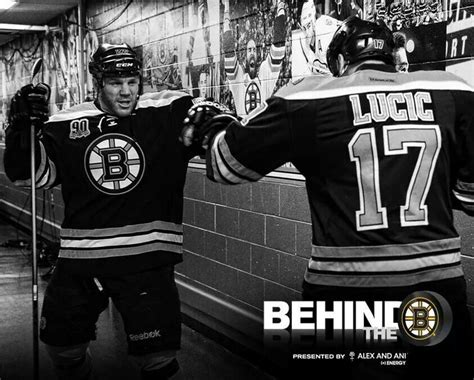 Pin By Ann Gartland On Boston Bruins Boston Bruins Hockey Bruins