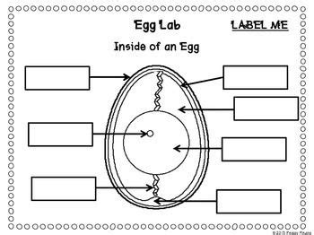 Select your model and see a list of genuine parts that exactly fit your grill. Chicken Life Cycle Science and Literacy Activities ...