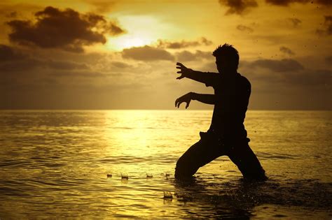 Silat Wallpapers Top Free Silat Backgrounds Wallpaperaccess