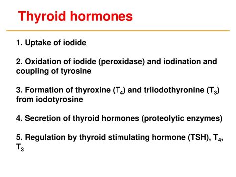 Ppt Thyroid Hormones And Antithyroid Drugs Powerpoint Presentation