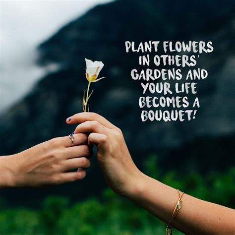 You don't have the power to make life fair. 10 Inspirational Flower Quotes to Warm You Up in Cold ...