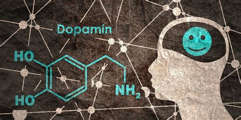 Feel Good Hormone Dopamine Affects Passion And Autism