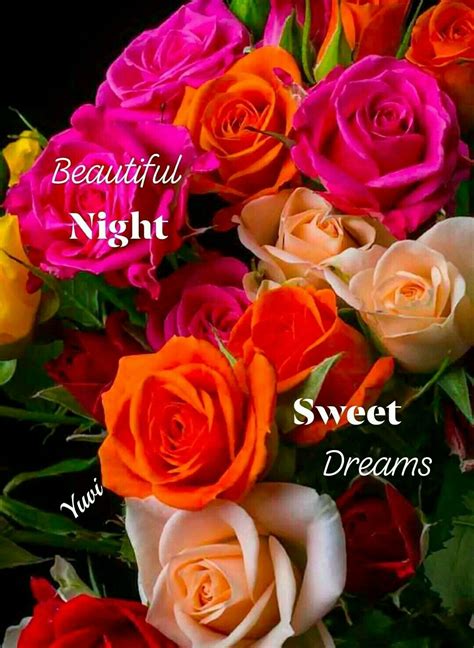 Pin By T On Good Night Good Morning Roses Beautiful Good Night Images Good Night Greetings