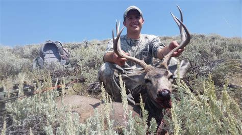 A diy hunt in alaska is at the top of the list for many hunters, and for those interested in hunting moose or caribou, you probably won't find a more affordable option. 2017 WYOMING GENERAL PUBLIC LAND MULE DEER HUNT DIY: Matt Millers "Brush Buck" - YouTube