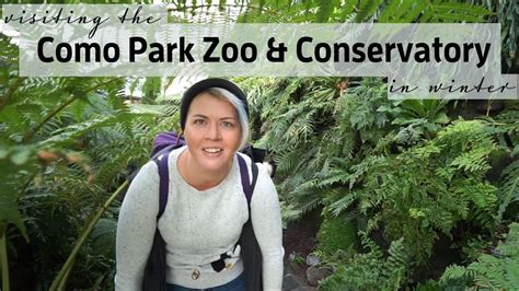 Visiting The Como Park Zoo And Conservatory In Winter Youtube