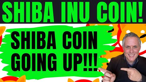 Shiba Inu Coin Massive Update Shiba Inu Coin Is Going Up Honest Update For Shiba Inu Coin