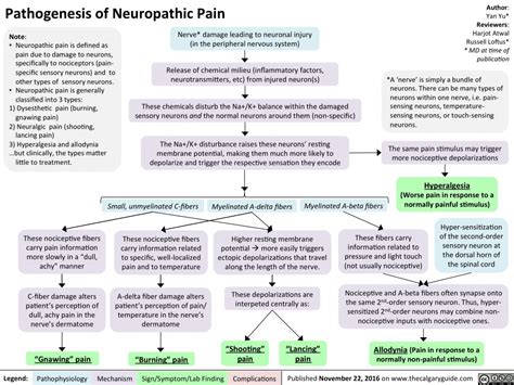 Pathogenesis Of Neuropathic Pain Calgary Guide