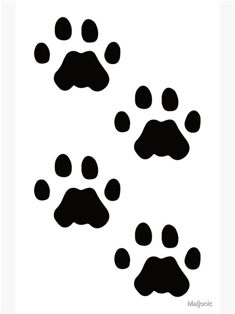 Cougar Mountain Lion Footprint Tracks Paw Prints T Sticker For