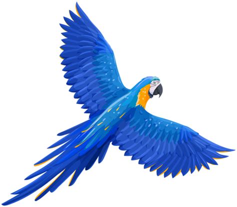 Parrot Png Image Transparent Image Download Size 600x525px