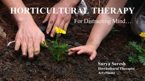 Horticultural Therapy For Distraction