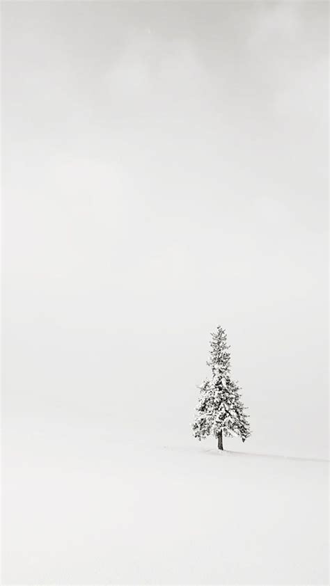 Iphone Tree Simple Minimalistic White Wallpaper Iphone