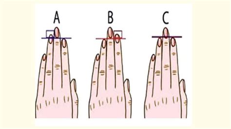 Quiz Here S What Your Finger Length Reveals About Your Personality WomenWorking