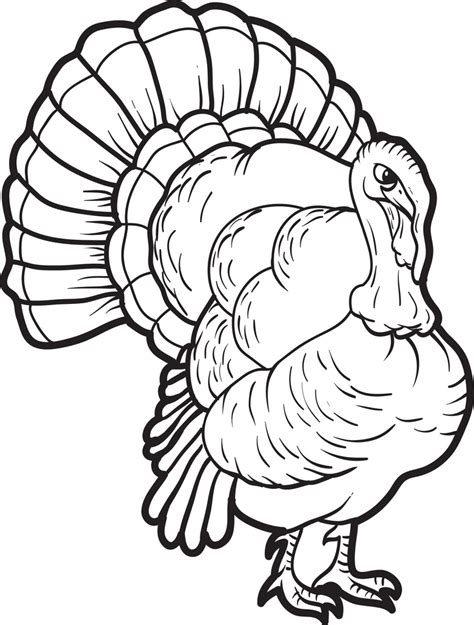 printable turkey coloring page  kids  supplyme
