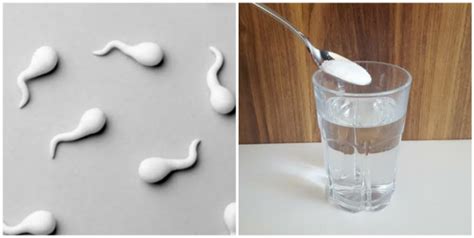 Can Salt And Water Flush Out Sperm