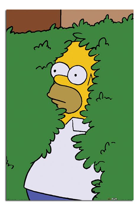The Simpsons Homer In Bush Poster