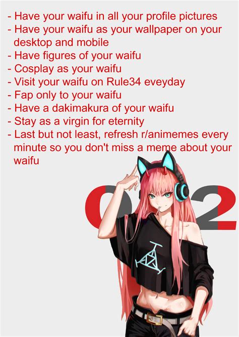 What It Means To Have A Waifu Ranimemes