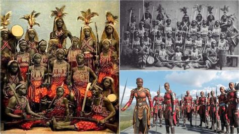 African Women Warriors From Dahomey Kingdom 17th Century That