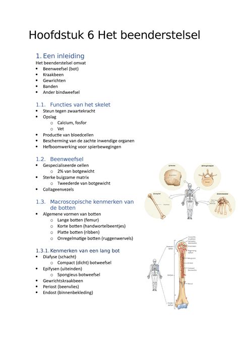 Hoofdstuk 6 Het Beenderstelsel Hoofdstuk 6 Het Beenderstelsel 1