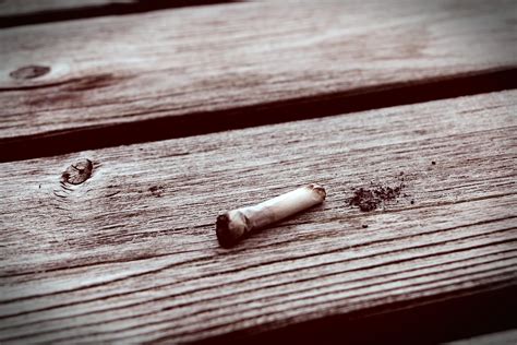 Joint Roaches: What To Do With It?