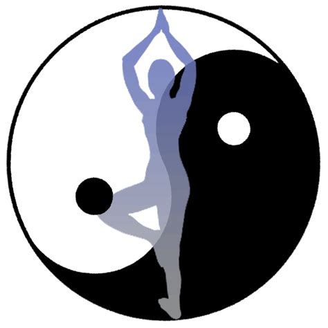 What is Yin-Yang? | Yang-Sheng.com