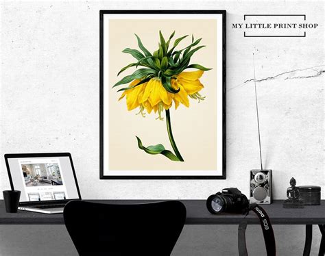 Vintage Yellow Flower Botanical Print T For Her Flower Print