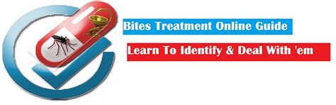 What Do Gnats Look Like؟ Full Guide Page 12 Bites Treatment And