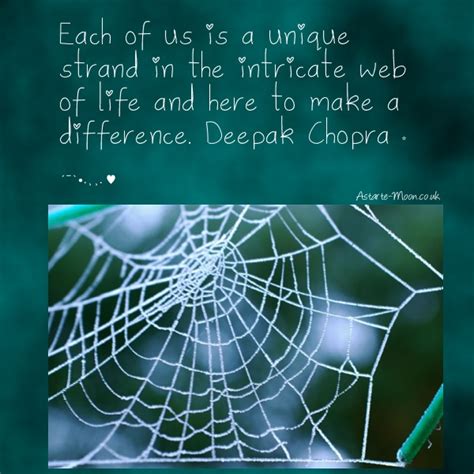 Quotes, spiders, fear, & love. Quotes About Spider Webs. QuotesGram