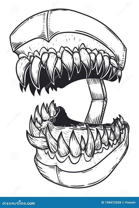 Drawing Of Fierce Teeth Model With Sharp Teeth Vector Illustration