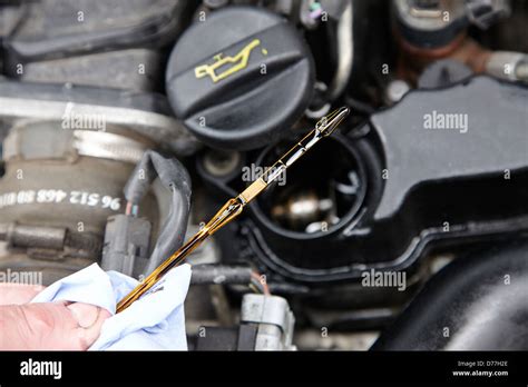 Checking The Oil Level On The Dipstick In A Car Engine Compartment